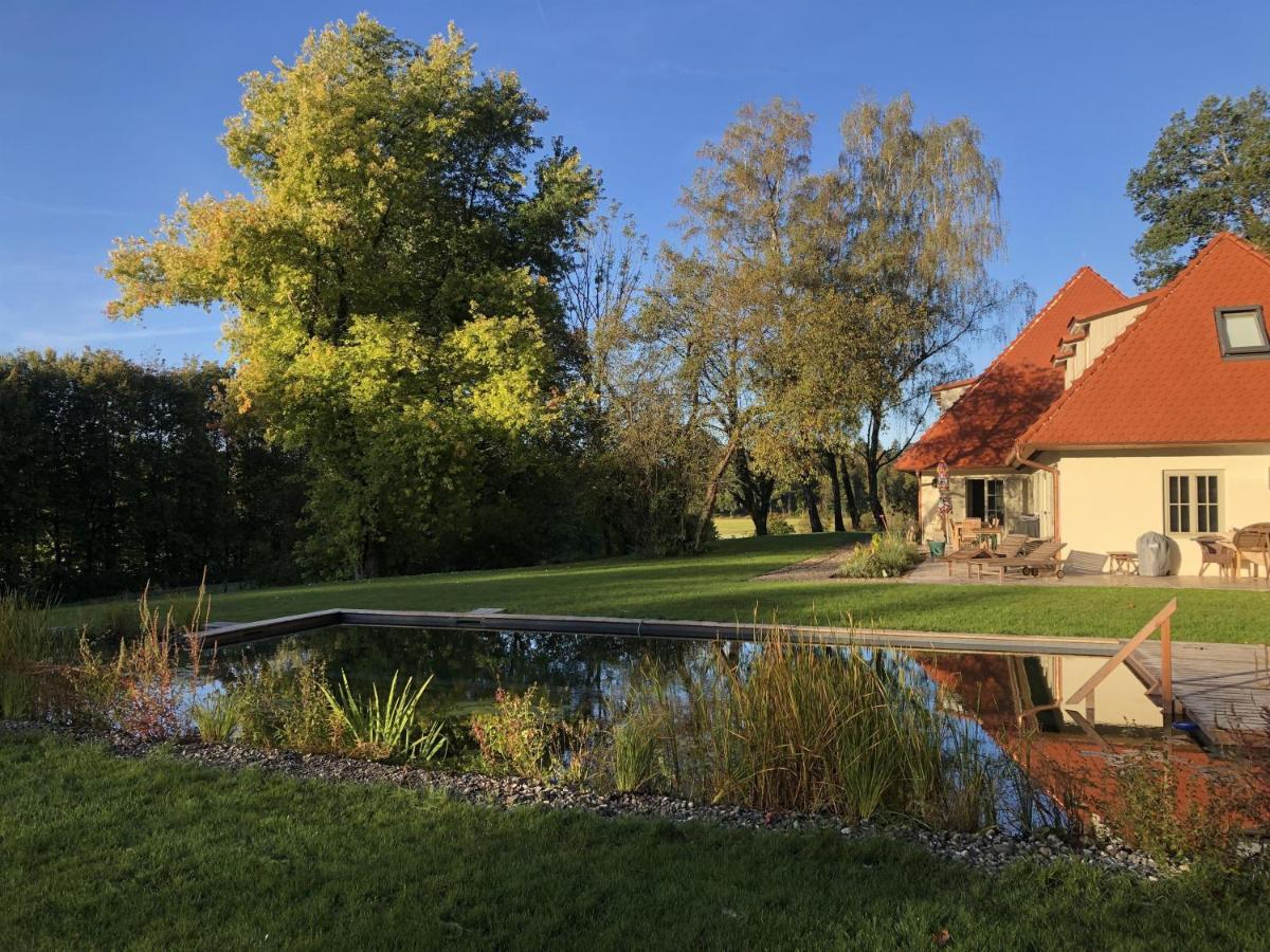 Riedhof *